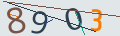 verifycode